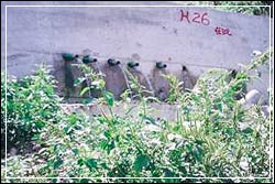 橫向排水管(共二張)